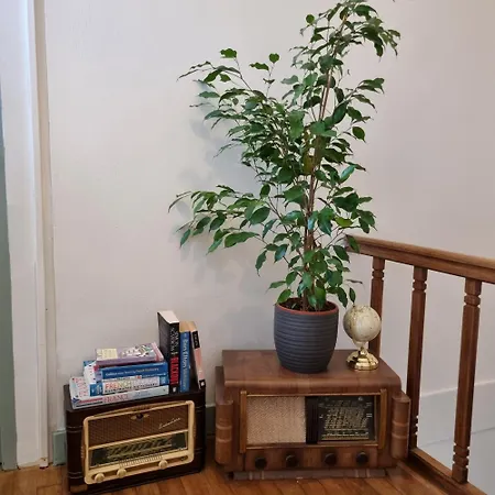 Chez Jack Nocleg ze śniadaniem 4*